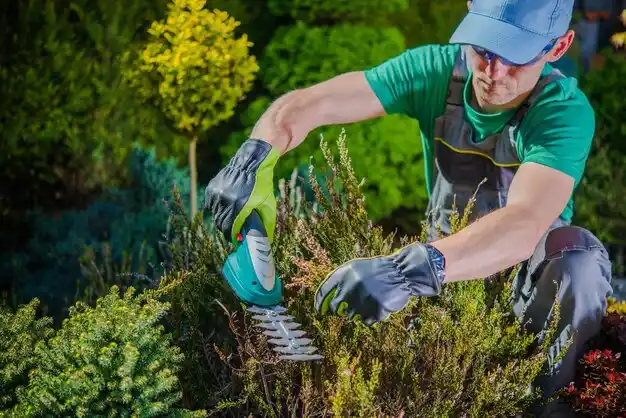 landscaping services Wiggins